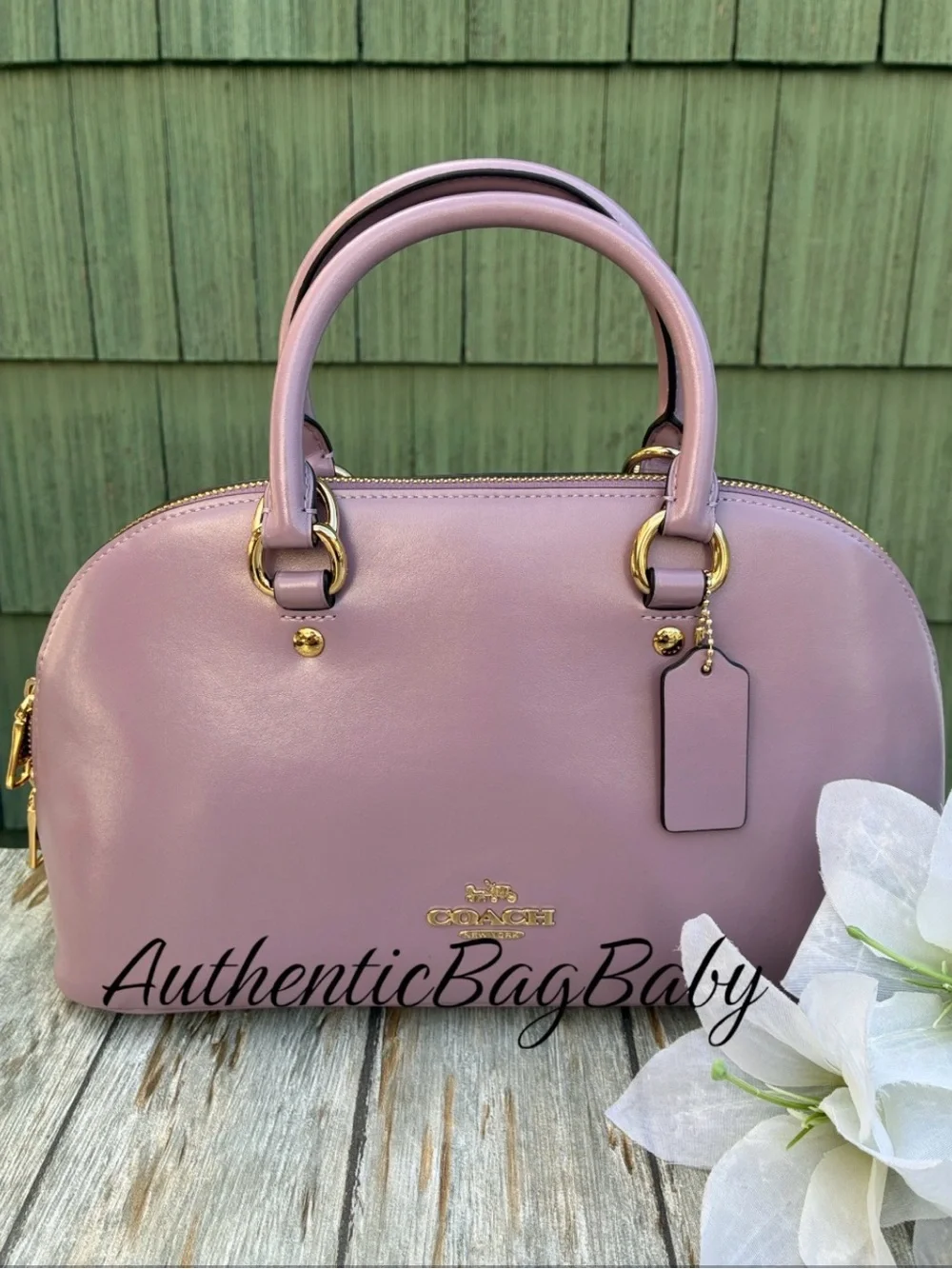 Coach Lara Satchel Leather Bag Purse